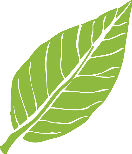 npressfetimg-158.png