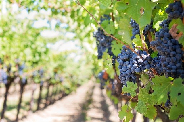 HB 4002: Oregon Agriculture Overtime | Schwabe, Williamson & Wyatt PC