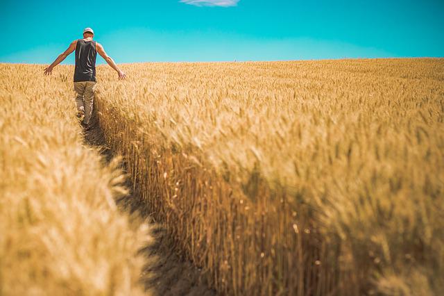 Arce appears on track for director of agriculture spot