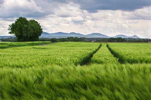 ‘Growing Women in Agriculture’ event set