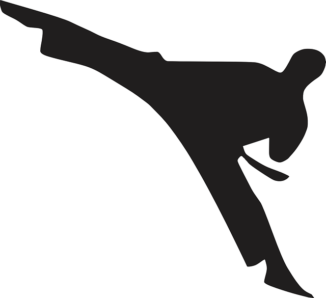 karate-640x480-1536562.png