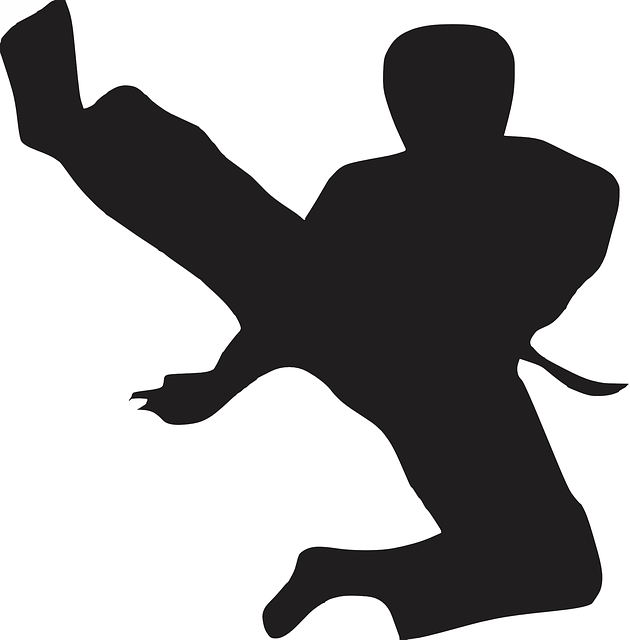 karate-640x480-21540573.png