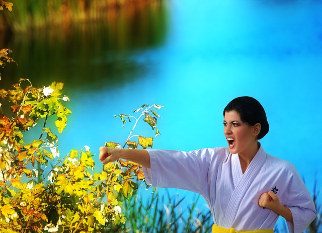 karate-640x480-37656538.jpeg