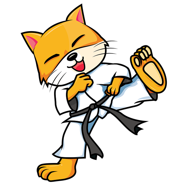 karate