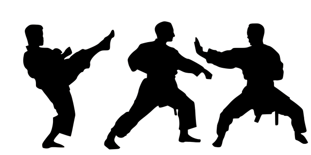karate-640x480-8800195.png