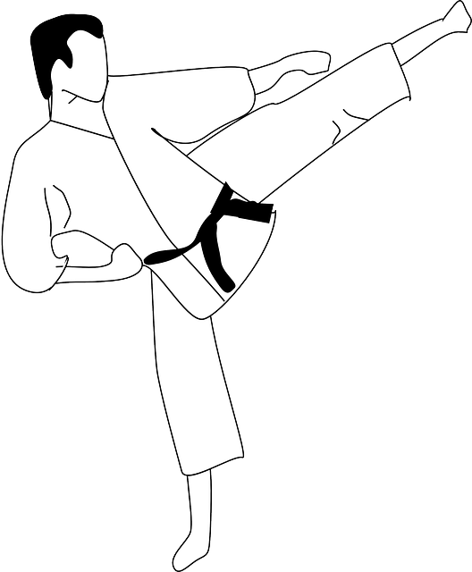 karate-640x480-15894490.png