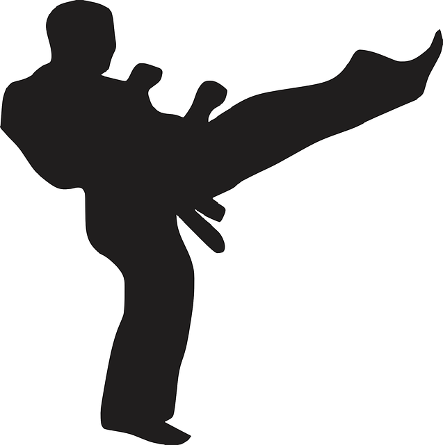 karate-640x480-2606461.png