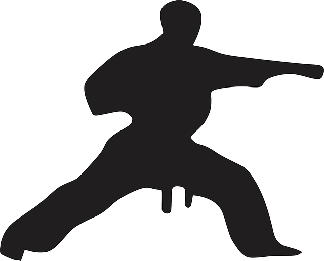 karate-640x480-80137352.png