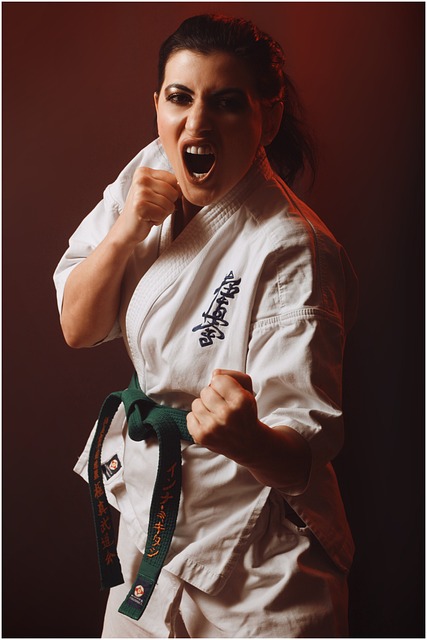 karate-640x480-15998002.jpeg