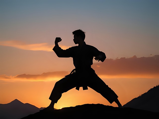 karate-640x480-22134147.jpeg