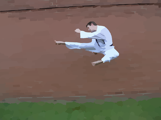 karate-640x480-6550062.png