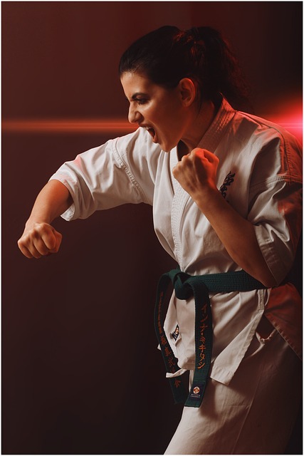 karate-640x480-96475925.jpeg