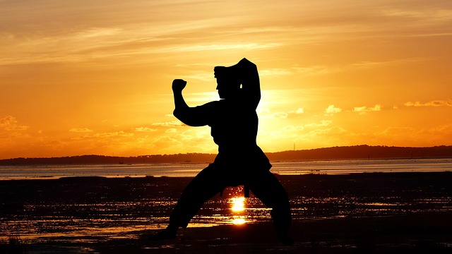 karate