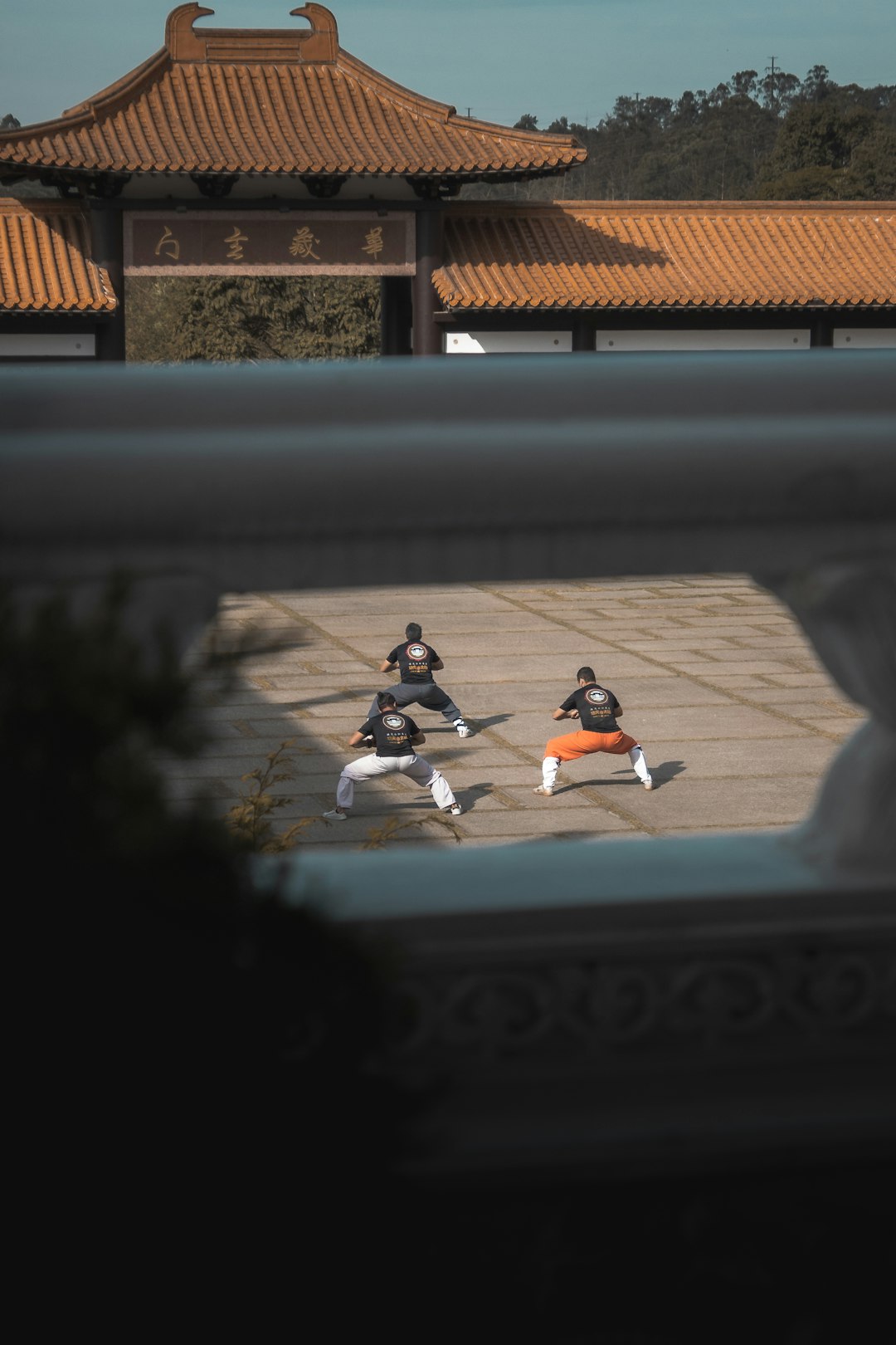kungfu-640x480-81136175.jpeg