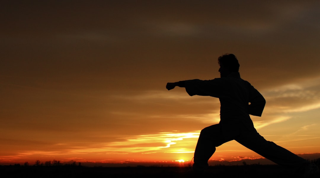 kungfu-640x480-57179107.jpeg