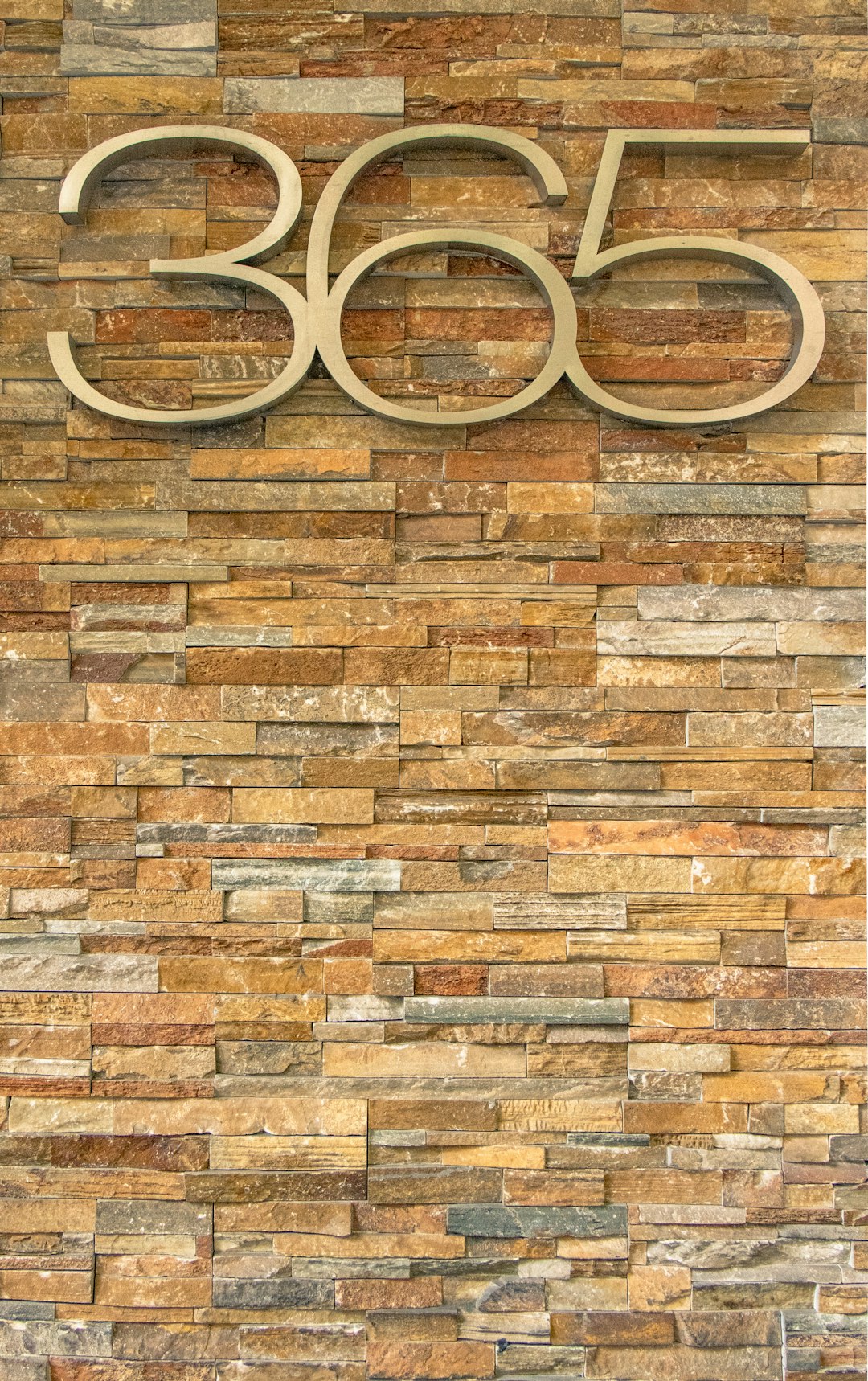 365