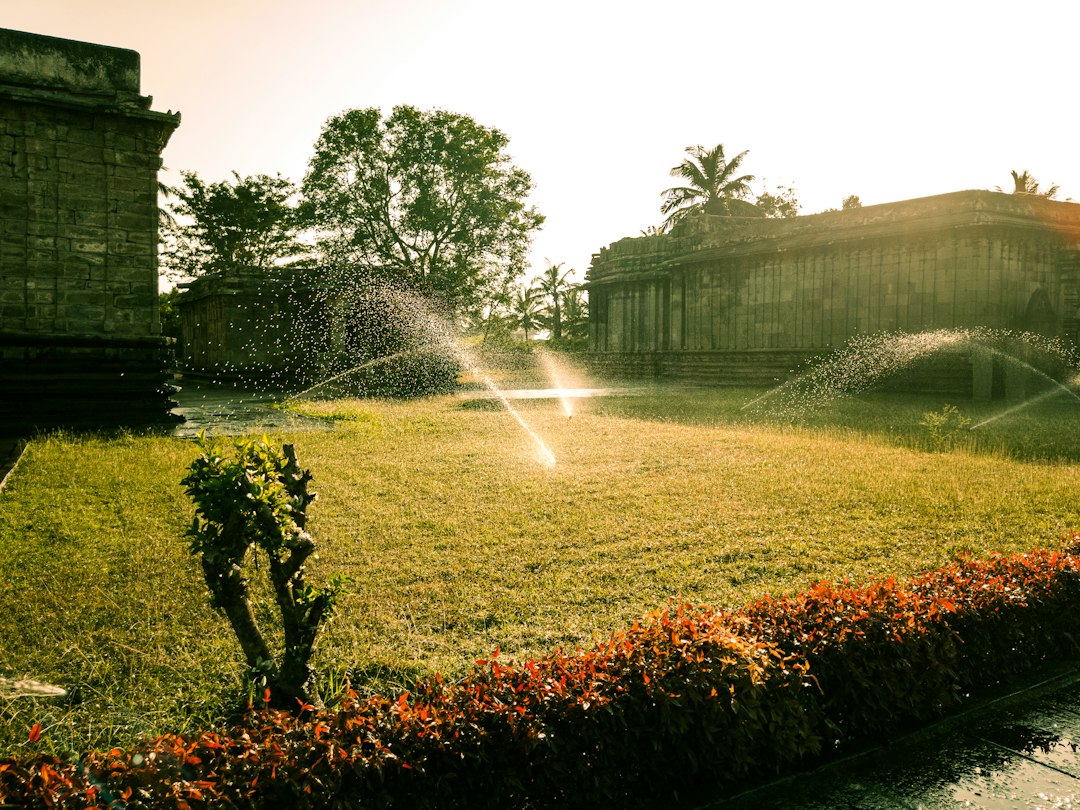 Master Irrigation: Sprinkler Valves & Efficient Water Distribution