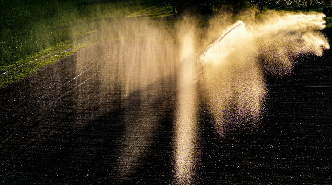 Sprinkler Heads, Valves, and Installation: Comprehensive Guide