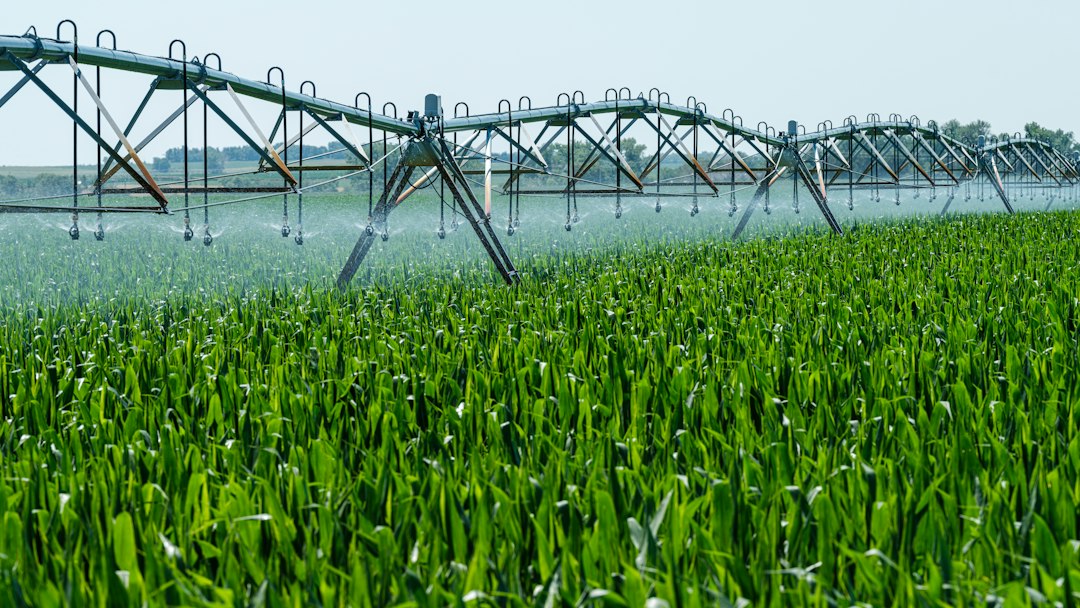 Sprinkler System Equipment: Heads to Valves, Installation Mastery