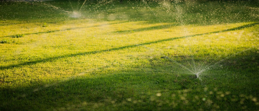 Sprinkler System Equipment: Selection, Installation, and Maintenance Guide