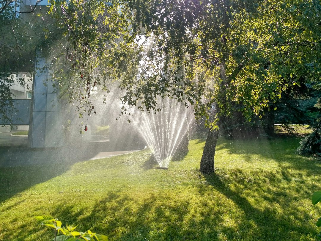 Sprinkler System Guide: Heads to Valves, Installation, and Maintenance